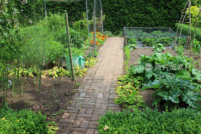 观赏蔬菜园/有围墙的厨房花园，水果笼
